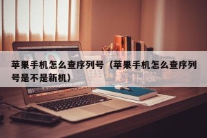 苹果手机怎么查序列号（苹果手机怎么查序列号是不是新机）